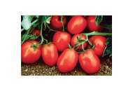 Рио Гранде - томат детерминантный, Lark Seeds (Ларк Сидс), США фото, цена